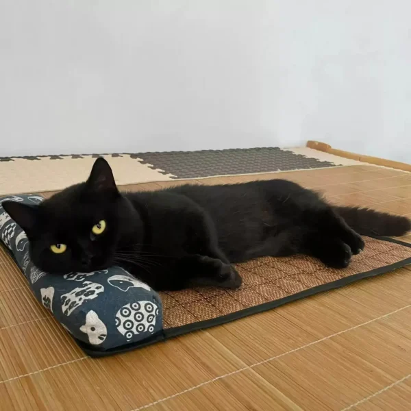 kf-S0d650aa228fb4c169ab981080ff54f99B SaeeNova 1PC Natural Cooling Mat for Pet