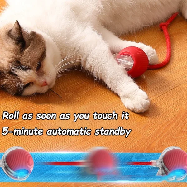 kf-S1c064f0bd45f482585fbecdd3a0ef712N SaeeNova Cat Interactive Automatic Rolling Ball Toy