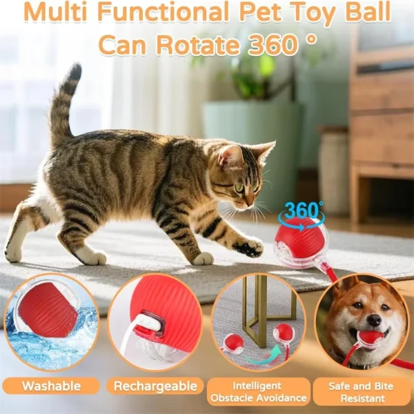 kf-S1c11901d8c86420380b7d795995e5004M SaeeNova Cat Interactive Automatic Rolling Ball Toy
