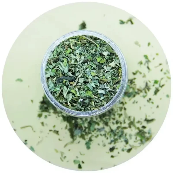 SaeeNova Organic 100% Natural High Quality Catnip Cattle Grass