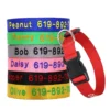 kf-S3ad915f4d1ae4d3391981b99496f11c6U SaeeNova Adjustable Nylon Embroidered Dog Collar