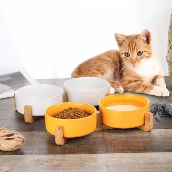 SaeeNova Double Ceramic Pet Bowl with Wood Stand