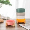 SaeeNova Double Ceramic Pet Bowl with Wood Stand