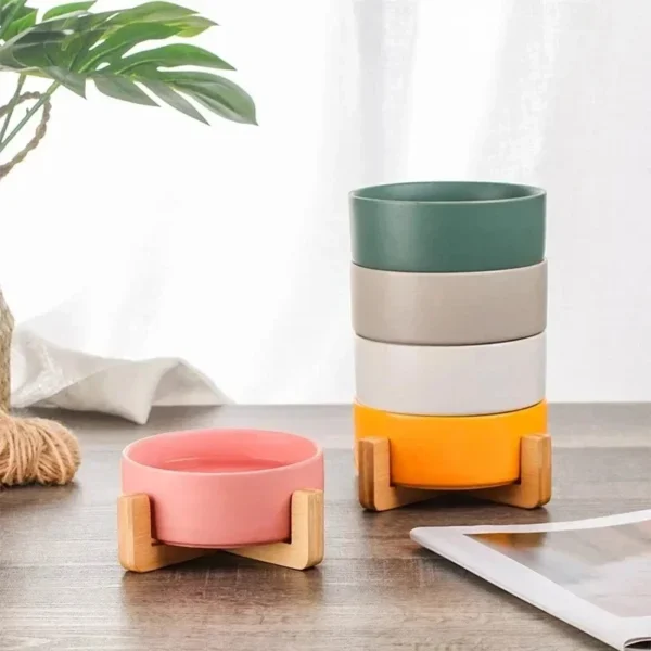 SaeeNova Double Ceramic Pet Bowl with Wood Stand