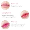 kf-S6823ebe17c9d4b5a9f367704bd87530e6 SaeeNova 1PCS Moisturizing Natural Aloe Essence Lip Gloss
