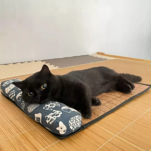 kf-S8af98c451332419ba2be47ec1fc883b3a SaeeNova 1PC Natural Cooling Mat for Pet