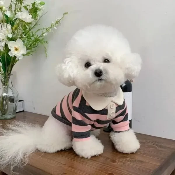 kf-S93d374cd7d2b492890099bc32e622d1fQ SaeeNova Summer Polo Shirt for Dog/Puppy