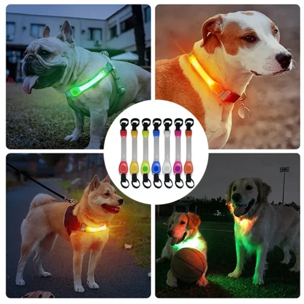 kf-Sc56b51e4f983487283c49179cf477c7aX SaeeNova Night Visibility Waterproof Dog Safety Glowing Strip