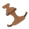 kf-Scecae5e1ddf146faa2f43b754510096eX SaeeNova 1PC Breathable Lightweight Dog Chest Strap for Outdoor Walk