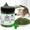 SaeeNova Organic 100% Natural High Quality Catnip Cattle Grass