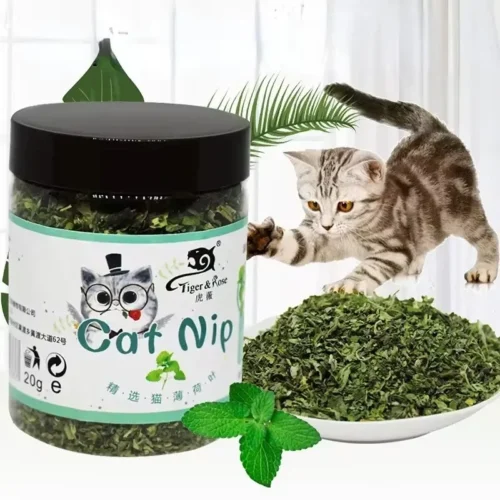 SaeeNova Organic 100% Natural High Quality Catnip Cattle Grass