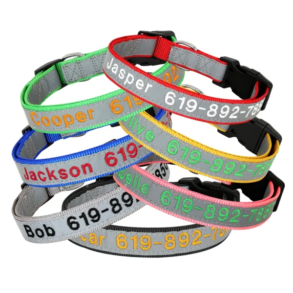kf-Sd5deae14681f49a1bb83ea74260d2ffap SaeeNova Adjustable Nylon Embroidered Dog Collar