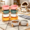 SaeeNova Double Ceramic Pet Bowl with Wood Stand