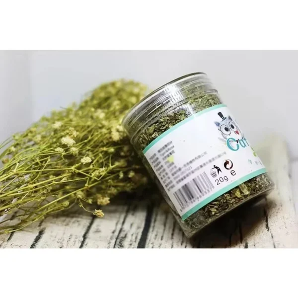 SaeeNova Organic 100% Natural High Quality Catnip Cattle Grass