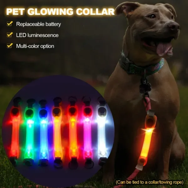 kf-Sf9e6059581ce4215840ad1cdf11880ddq SaeeNova Night Visibility Waterproof Dog Safety Glowing Strip