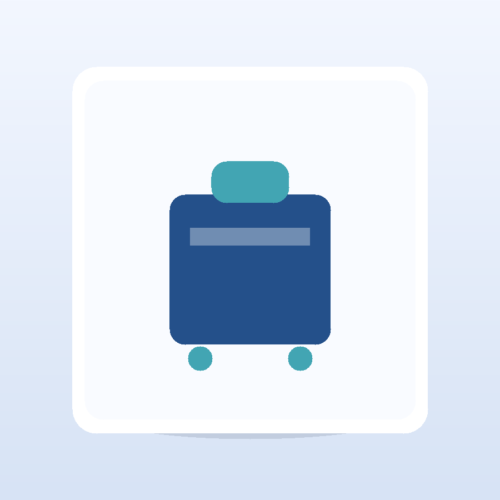 Digital Luggage Scale